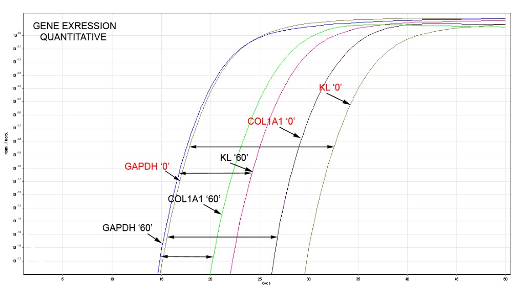 Forbes Article Klotho