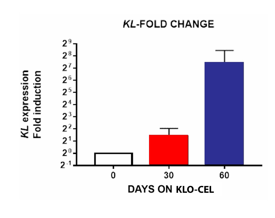 Klotho Gene Expression